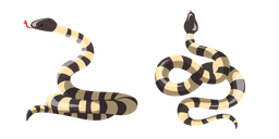 Bungarus Candidus Cursor