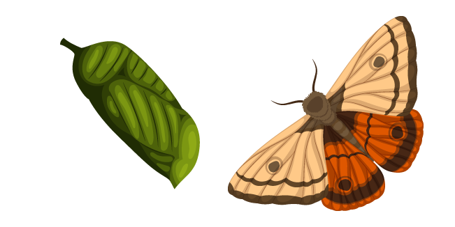 Moth Cursor