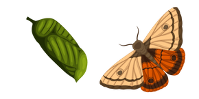 Moth Curseur