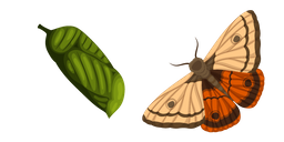 Moth Cursor