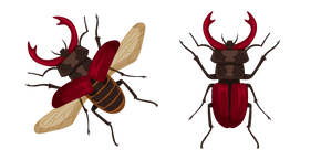 Stag Beetle Curseur
