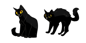 Black Cat Curseur