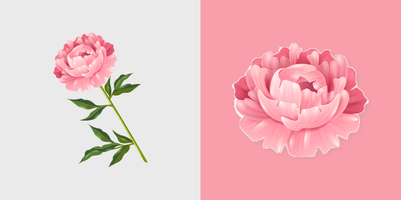 Peony Cursor Pack - Custom Window Cursors preview for Chrome, Edge and Windows